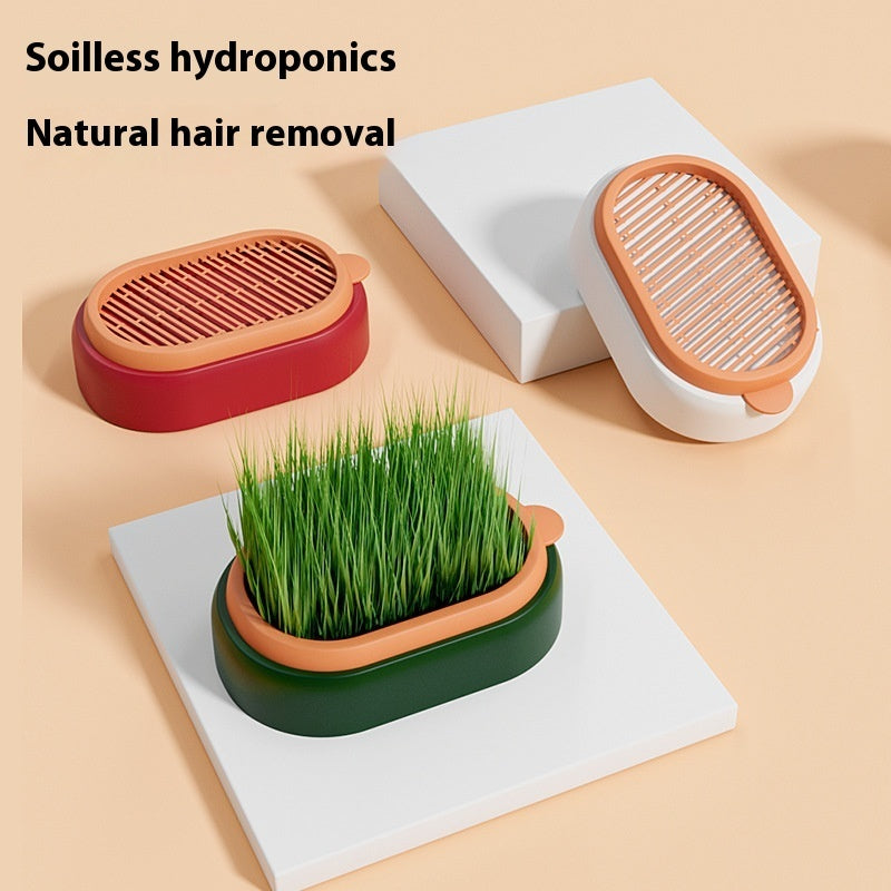 Enkel jordfri odling – hydroponisk kattgräsodling med vetefrön